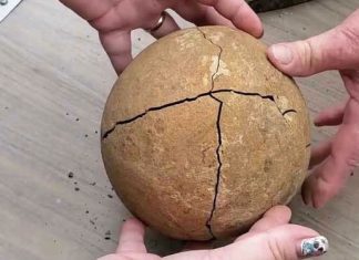 fossil-sandstone