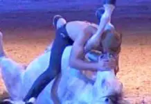 horse-and-dogs-and-trainer1
