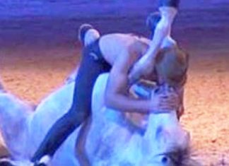 horse-and-dogs-and-trainer1