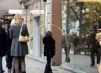 mannequin-pro-firms