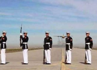 marine-determination