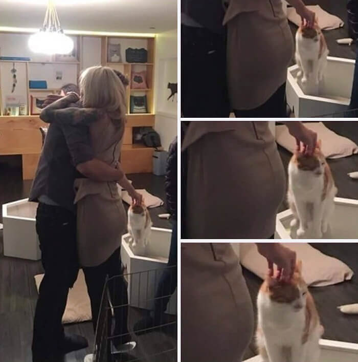 man petting cat